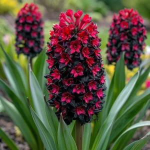 Гиацинт Джем Стоун купить по цене от 2099р. в интернет-магазине «Посадика» с доставкой почтой в в Пролетарске и по всей России – [изображение №1].