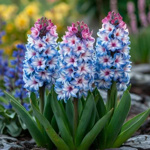 Гиацинт Пинк Мари купить по цене от 2099р. в интернет-магазине «Посадика» с доставкой почтой в в Пролетарске и по всей России – [изображение №1].