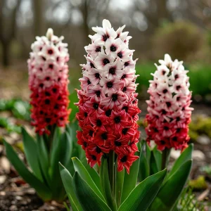 Гиацинт Скай Гарден купить по цене от 2099р. в интернет-магазине «Посадика» с доставкой почтой в в Пролетарске и по всей России – [изображение №1].